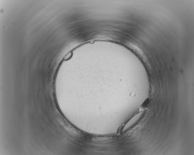 X0000088171427200706121615