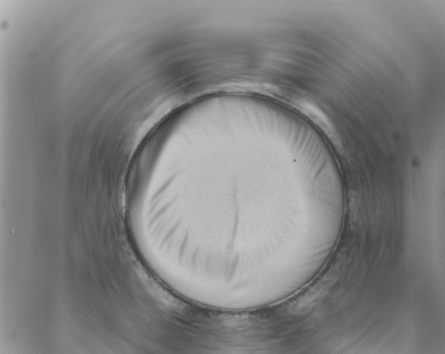 X0000088171428200706121615