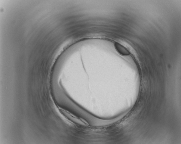 X0000088171429200706121615