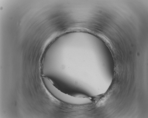 X0000088171430200706121615