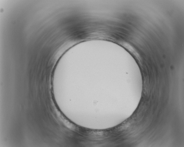 X0000088171431200706121615