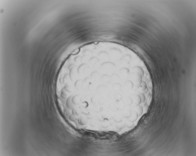 X0000088171432200706121615