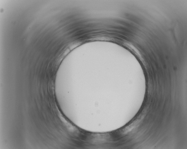 X0000088171433200706121615