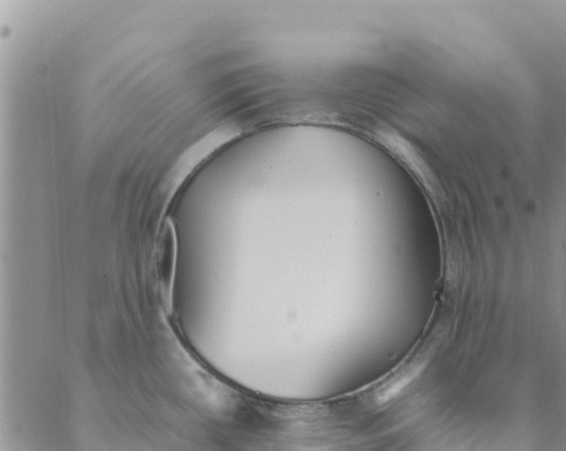 X0000088171434200706121615