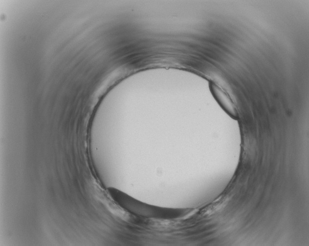 X0000088171435200706121615