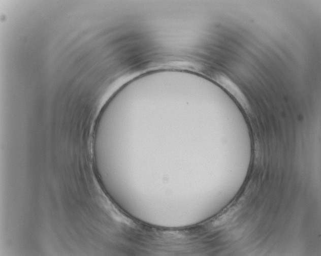 X0000088171436200706121615