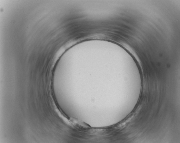 X0000088171437200706121615