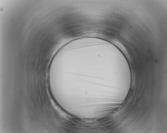 X0000088171439200706121615