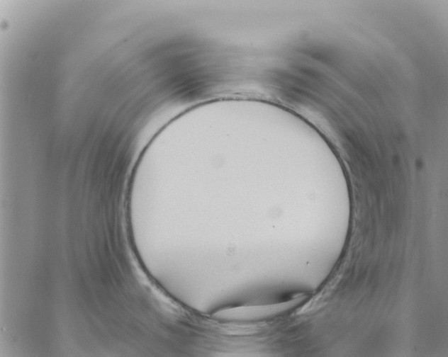 X0000088171440200706121615