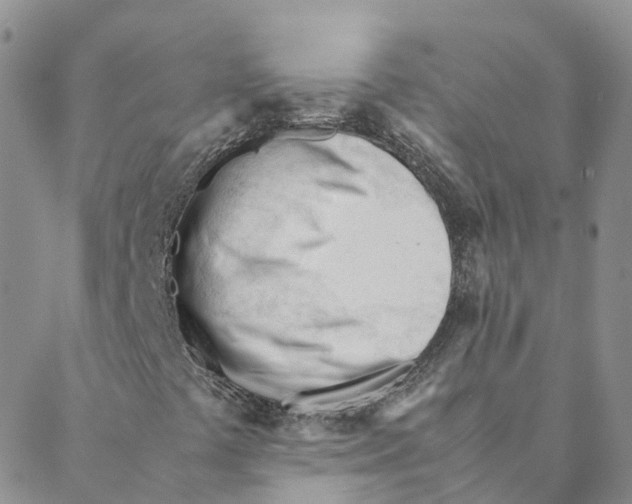 X0000088171441200706121614