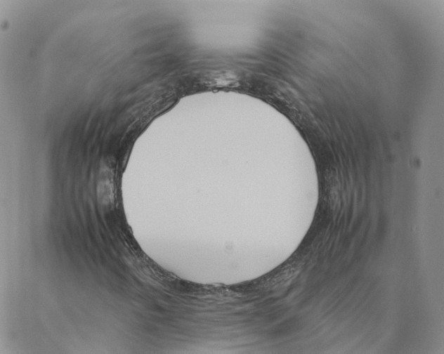 X0000088171442200706121614