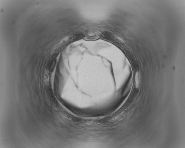 X0000088171443200706121614