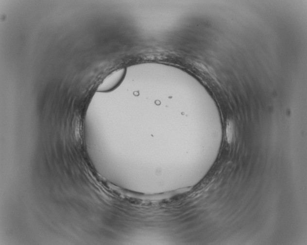 X0000088171444200706121614