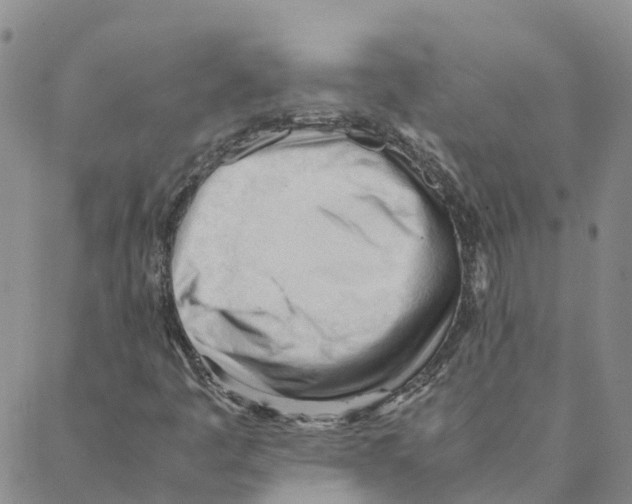 X0000088171445200706121614