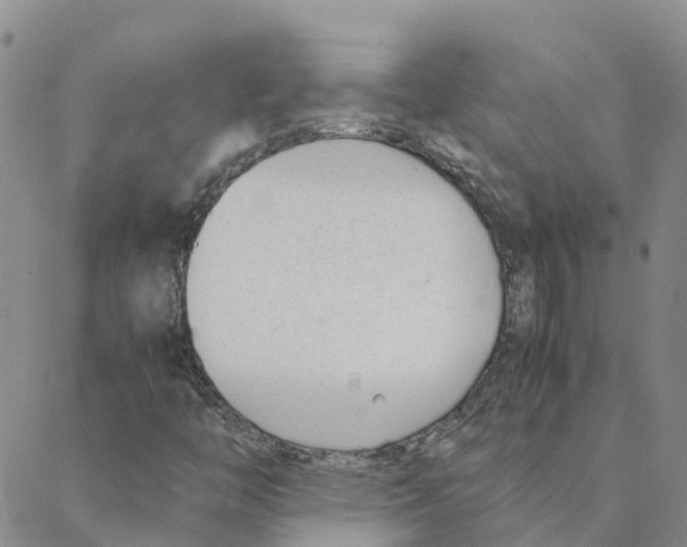 X0000088171446200706121614