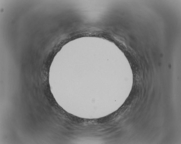 X0000088171447200706121614