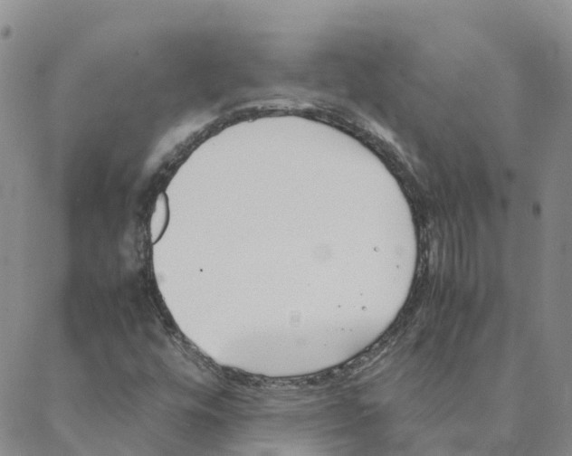 X0000088171448200706121614