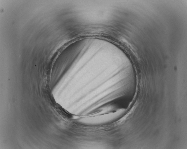 X0000088171449200706121614