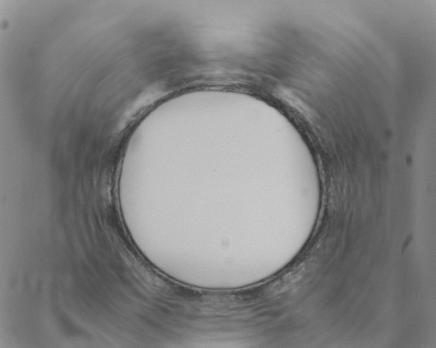 X0000088171451200706121614