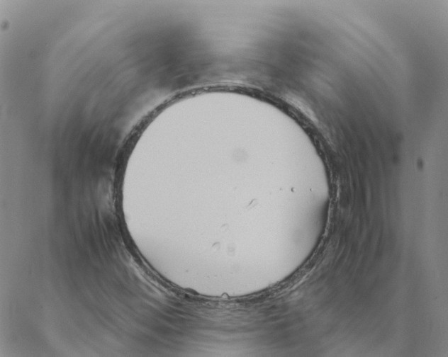 X0000088171452200706121614