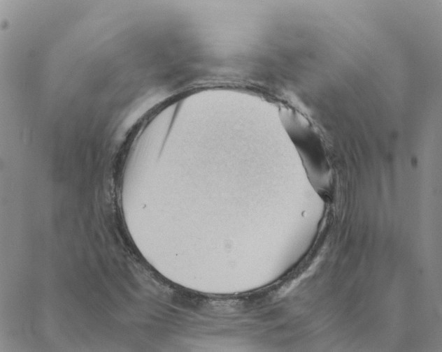 X0000088171453200706121614