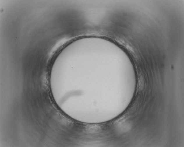 X0000088171454200706121614