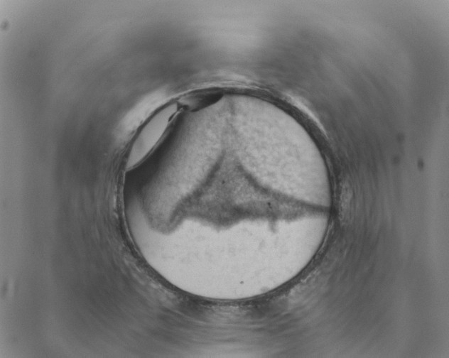 X0000088171455200706121614