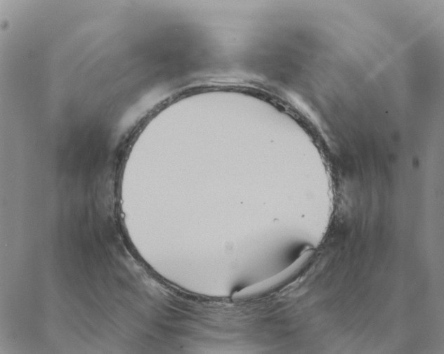 X0000088171456200706121614