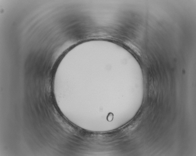 X0000088171458200706121614