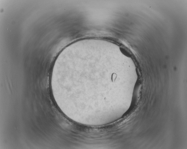 X0000088171459200706121614