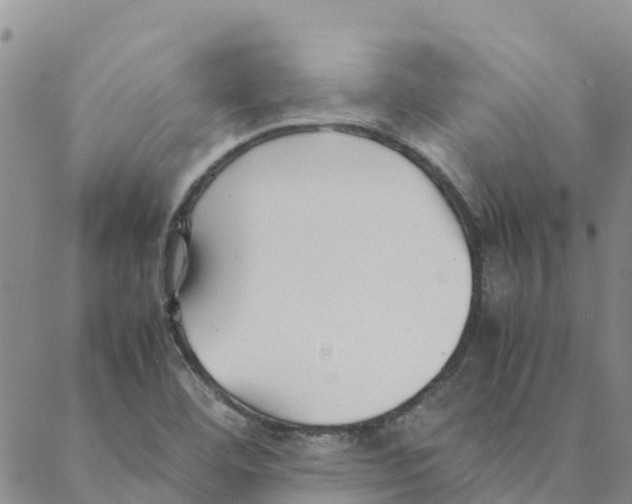 X0000088171460200706121614