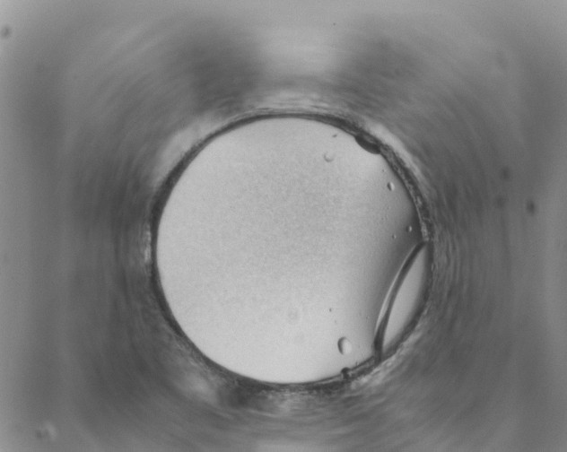 X0000088171461200706121614