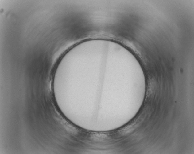 X0000088171462200706121614