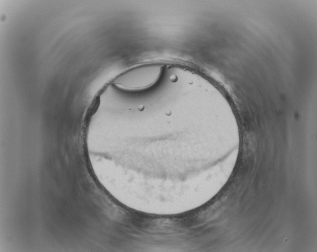 X0000088171463200706121614