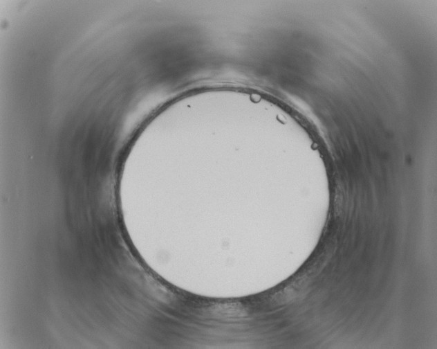 X0000088171464200706121614