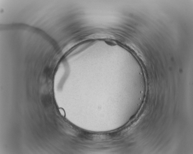 X0000088171465200706121614