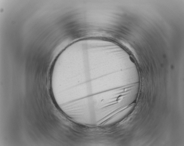 X0000088171467200706121614