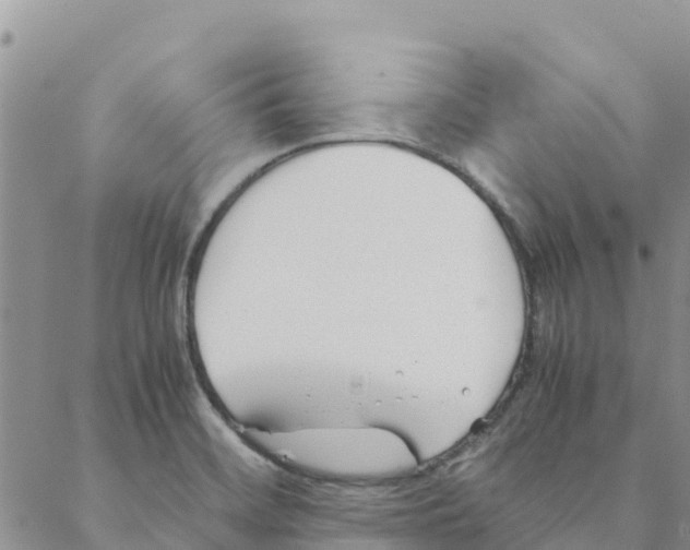 X0000088171468200706121614