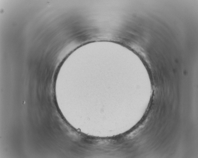 X0000088171469200706121614