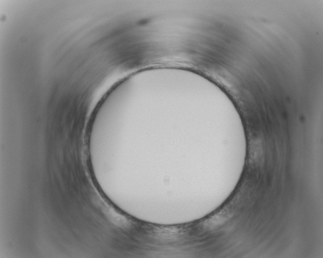 X0000088171470200706121614