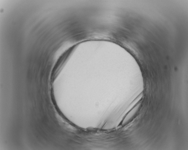 X0000088171471200706121614