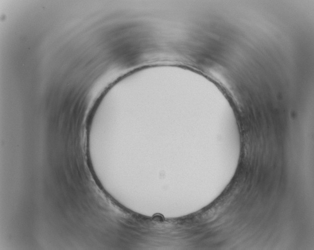 X0000088171472200706121614