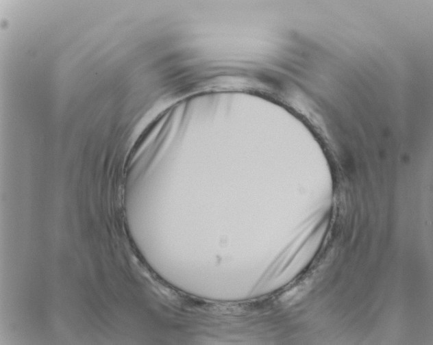 X0000088171473200706121614