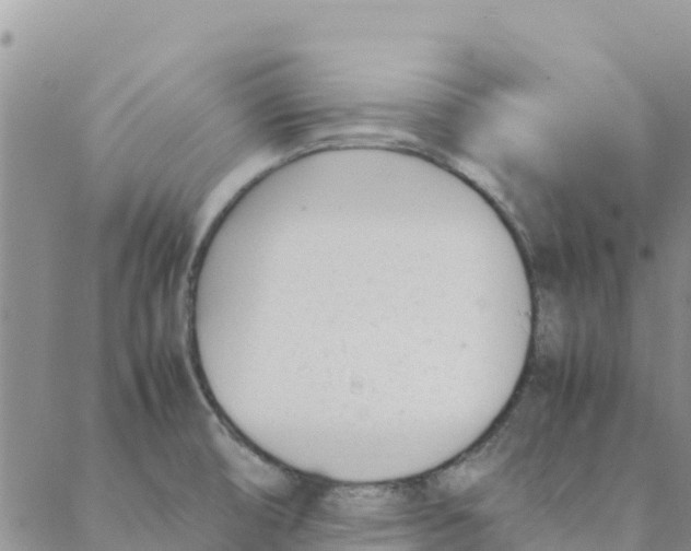 X0000088171474200706121614