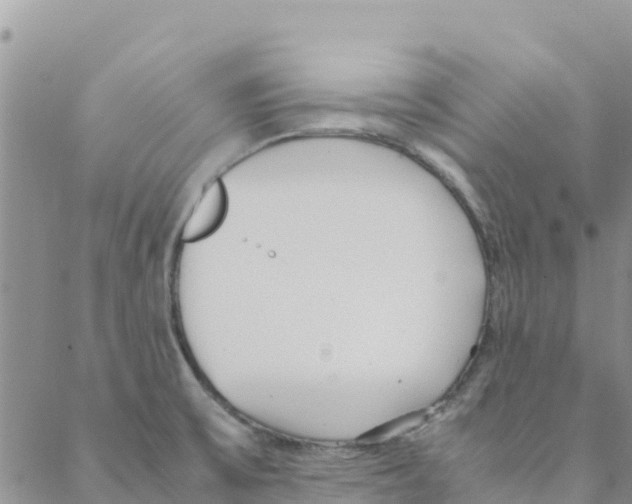 X0000088171475200706121614