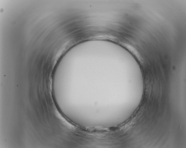 X0000088171476200706121614