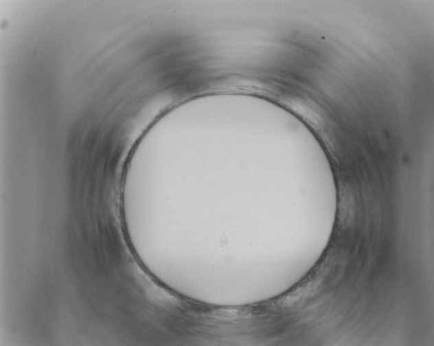 X0000088171478200706121614