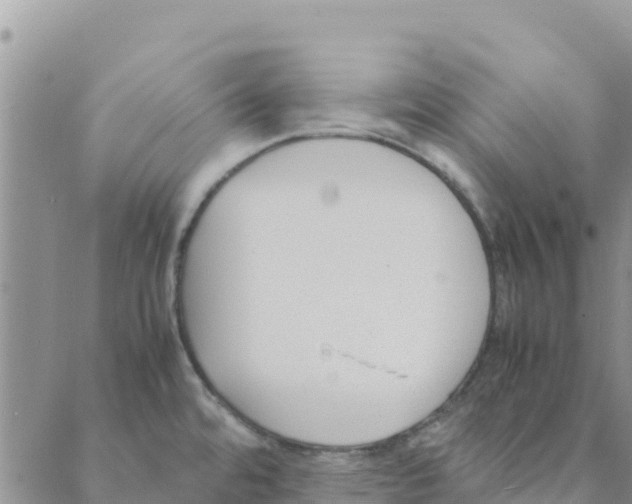 X0000088171480200706121614