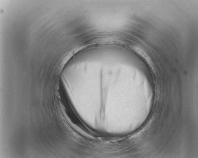 X0000088171481200706121614