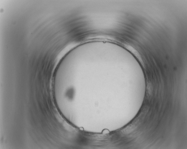 X0000088171482200706121614